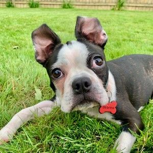 Meet your Posher, Danette